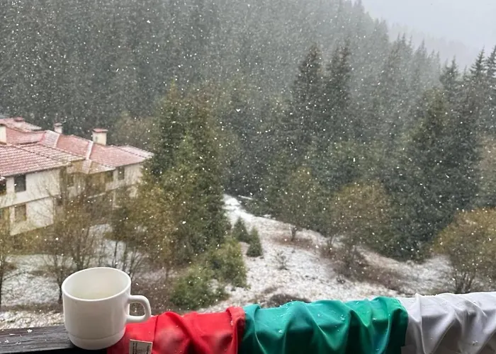 Captain's Apartment *